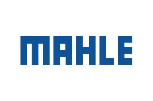 11_Mahle